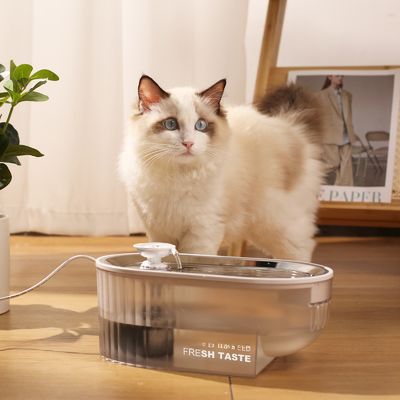 Good price High Quality Wholesale Custom Cheap Automatic LED Cat Water Drinking Fountain Cat Water Fountain online