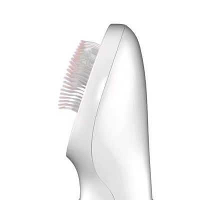 Good price 2025 2 in 1 Grooming Pet Hair Dryer Dog Slicker Brush With Blowing Function for Cats and Dogs Smoothing 1 Hour Charging Time online